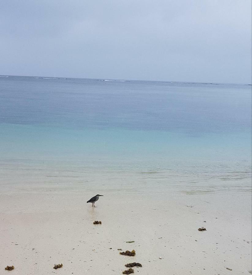 Dzama Hotel Grand Bay Buitenkant foto